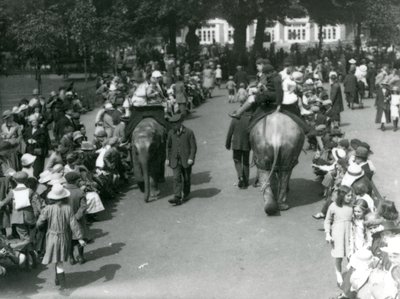 Asian elephant rides with crowds of onlookers at London Zoo by Frederick William Bond